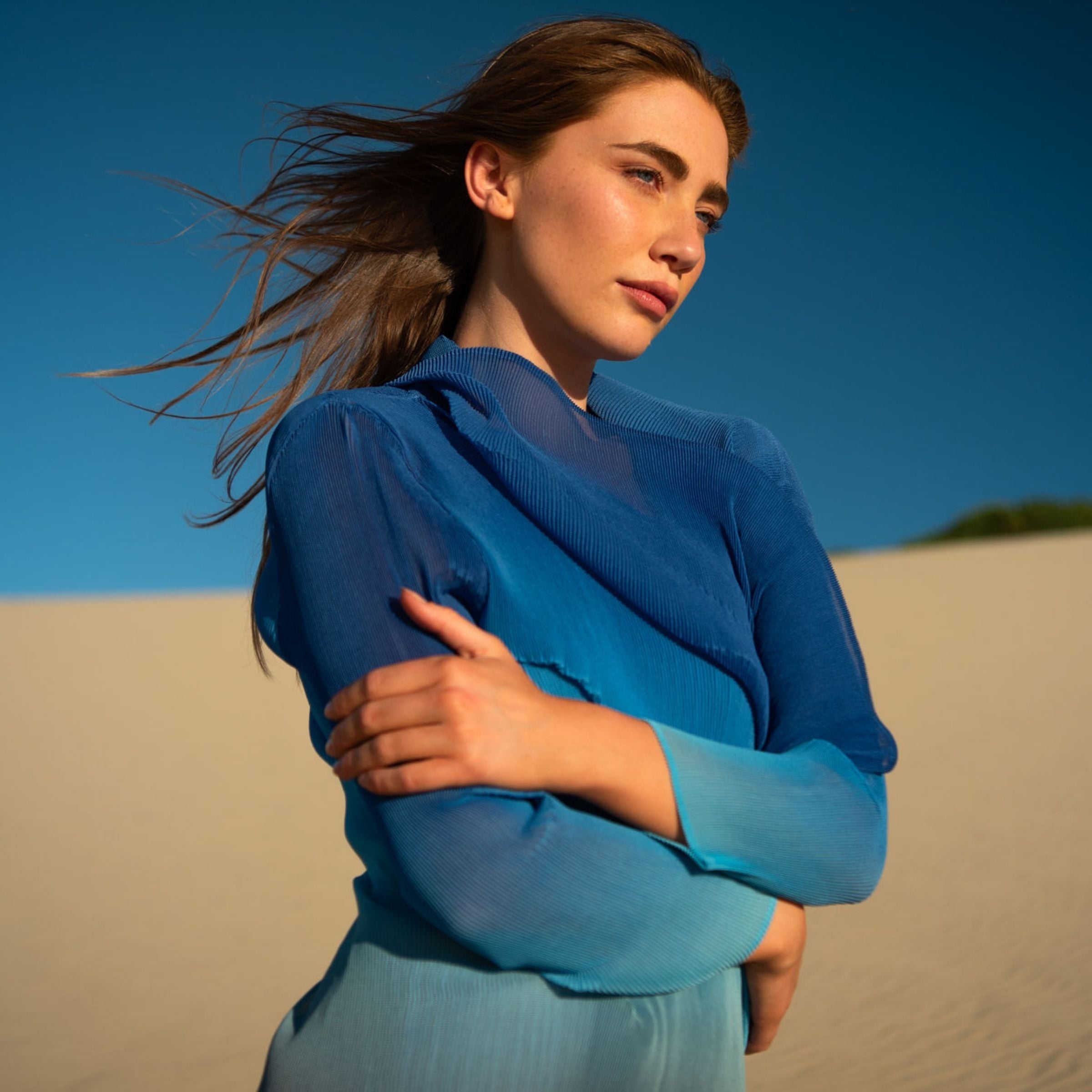 Collare Coat - Ombre AW26