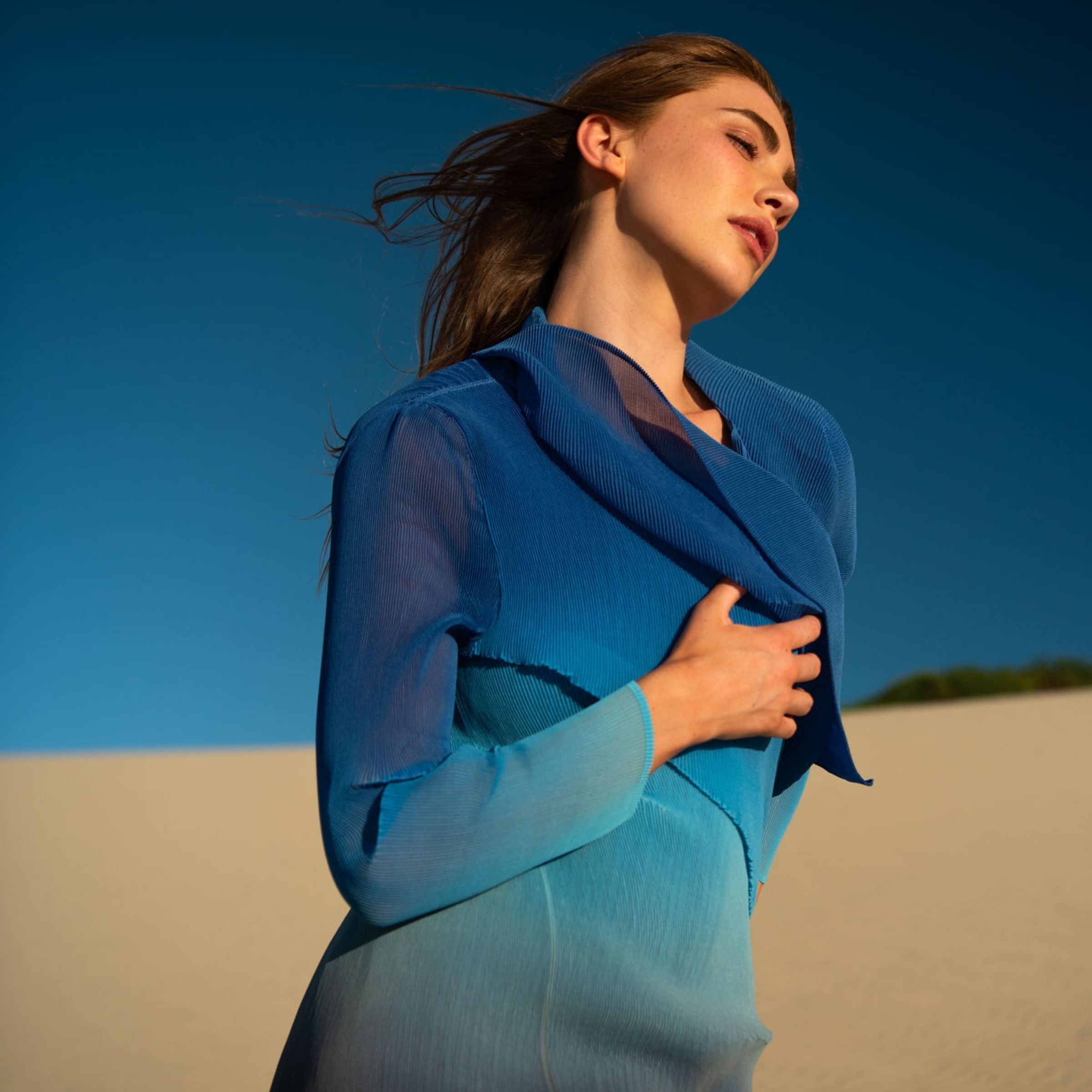 Collare Coat - Ombre AW26